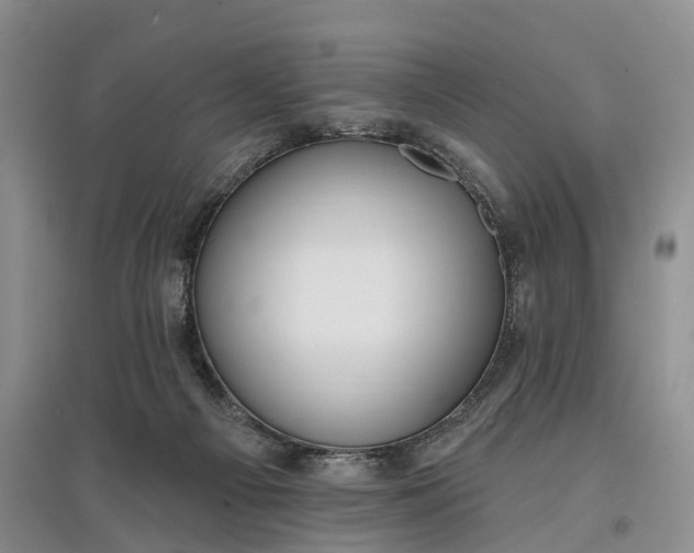 X0000097590121200803141903