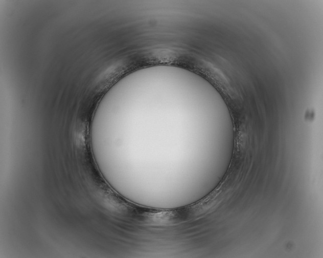 X0000097590122200803141903