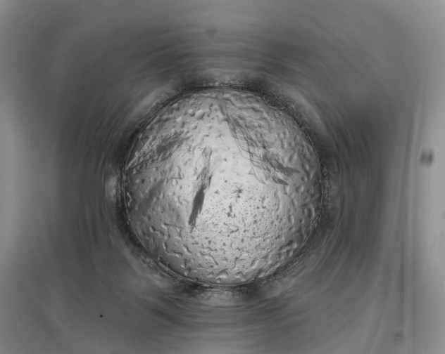 X0000097590123200803141903