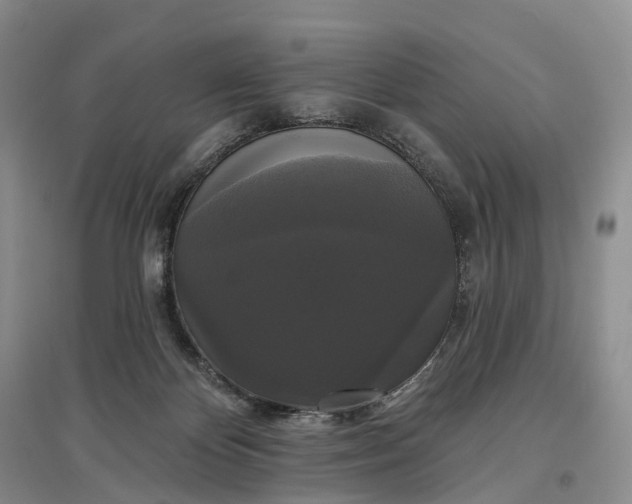 X0000097590124200803141903