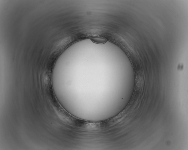 X0000097590126200803141903