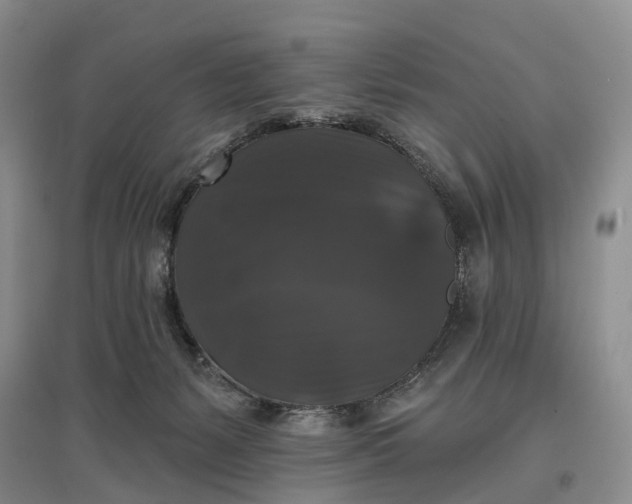 X0000097590127200803141903