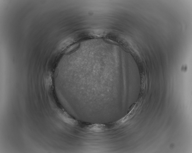 X0000097590128200803141903