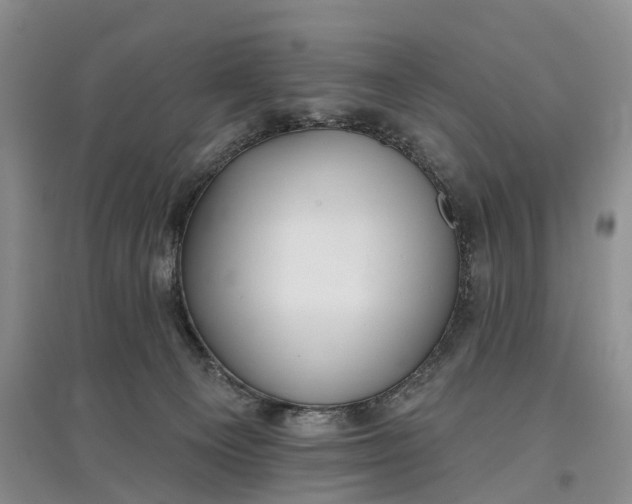 X0000097590129200803141903