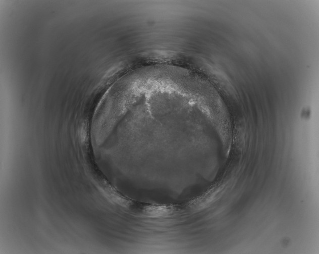 X0000097590131200803141903