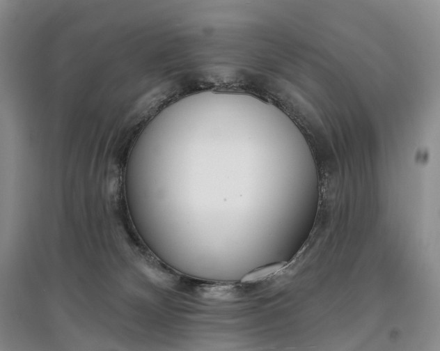 X0000097590132200803141903