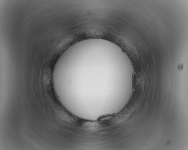 X0000097590133200803141903