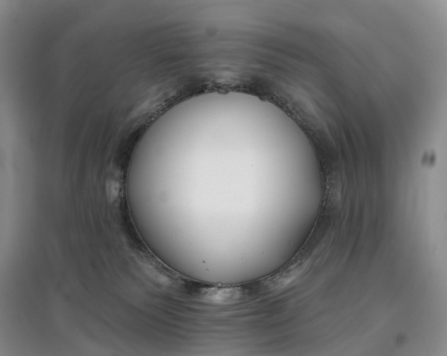 X0000097590135200803141903