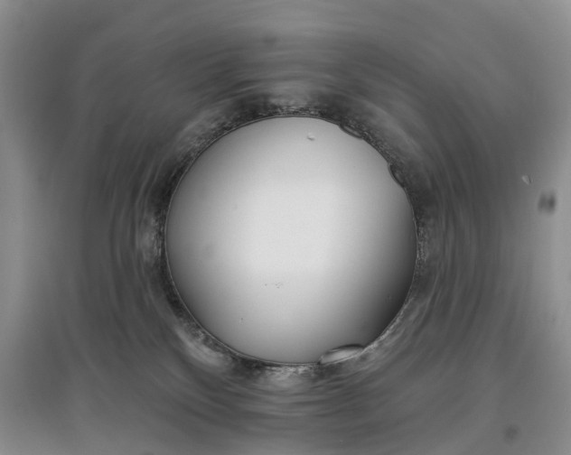 X0000097590136200803141903