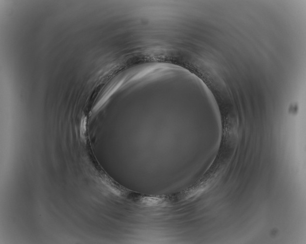 X0000097590139200803141903