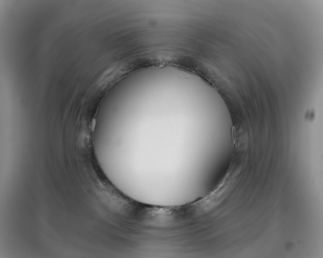 X0000097590140200803141903