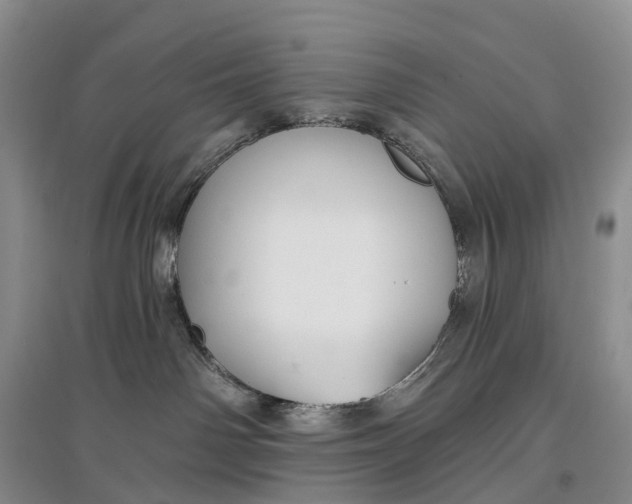 X0000097590142200803141903