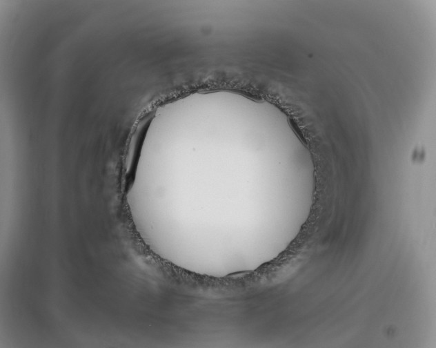 X0000097590144200803141903