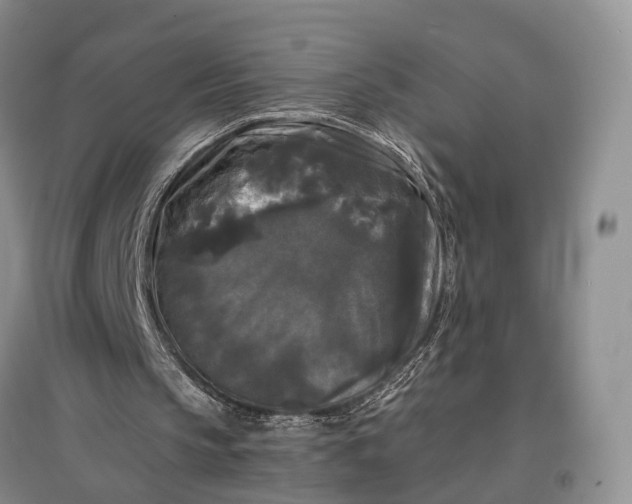 X0000097590145200803141902