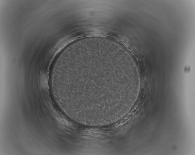 X0000097590146200803141902