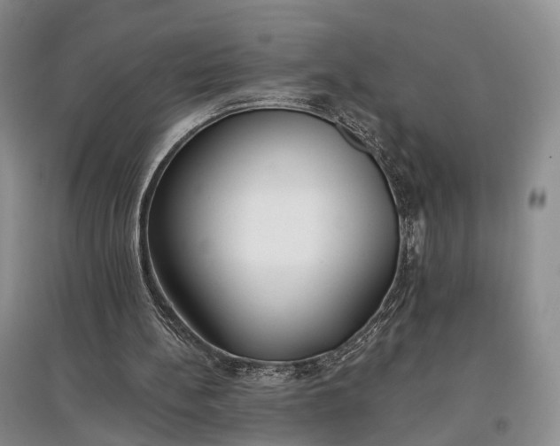 X0000097590148200803141902