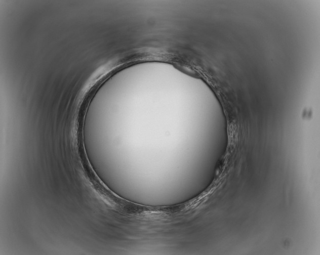 X0000097590150200803141902