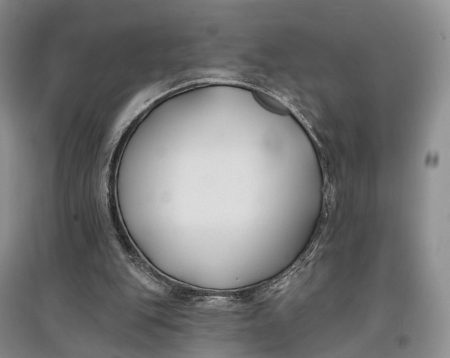 X0000097590151200803141902