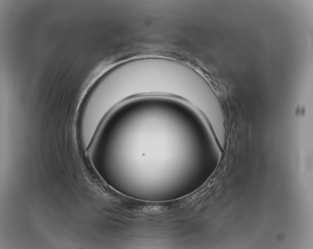 X0000097590152200803141902