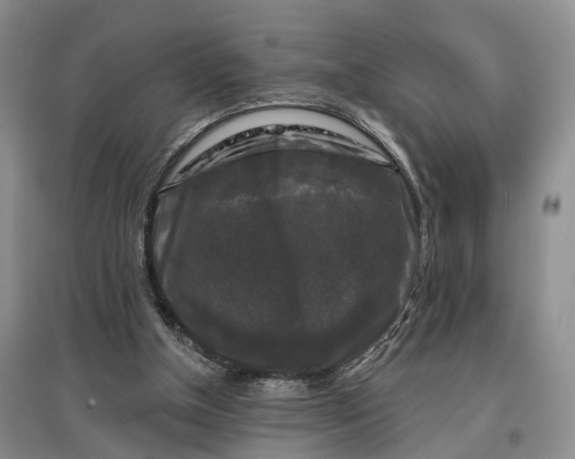 X0000097590154200803141902