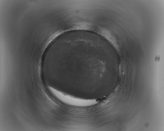 X0000097590156200803141902