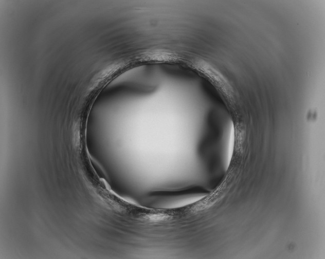 X0000097590158200803141902