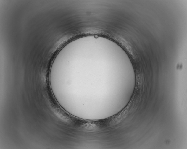 X0000097590159200803141902