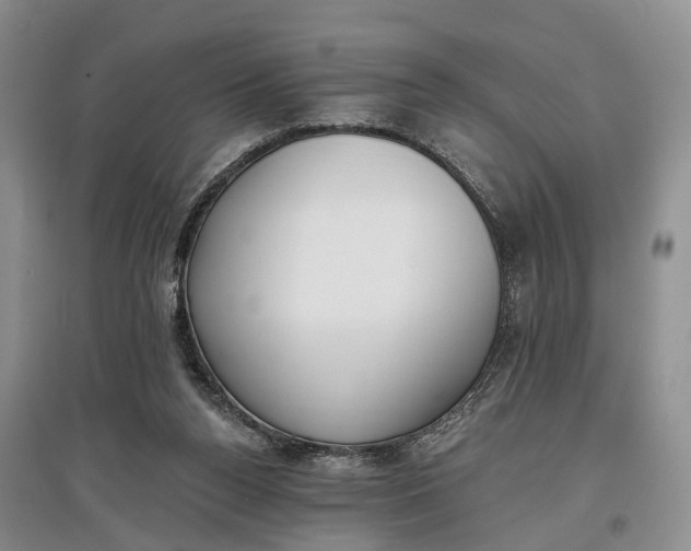 X0000097590160200803141902