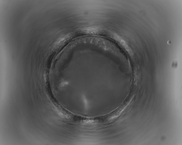 X0000097590161200803141902