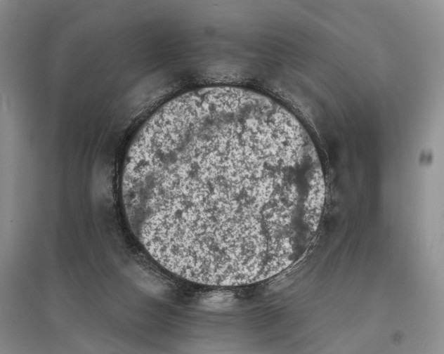 X0000097590162200803141902