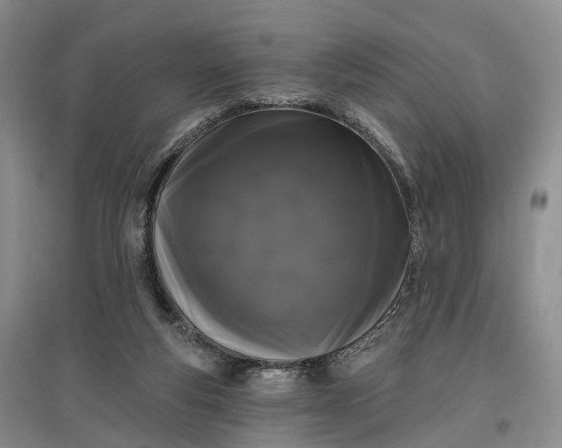 X0000097590163200803141902