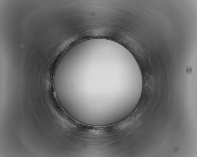 X0000097590164200803141902