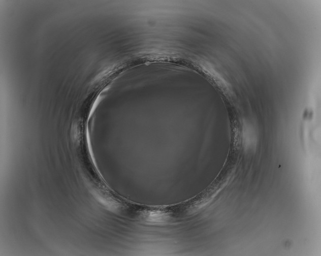 X0000097590165200803141902