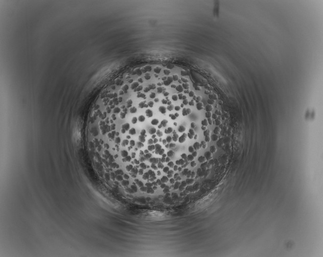 X0000097590166200803141902