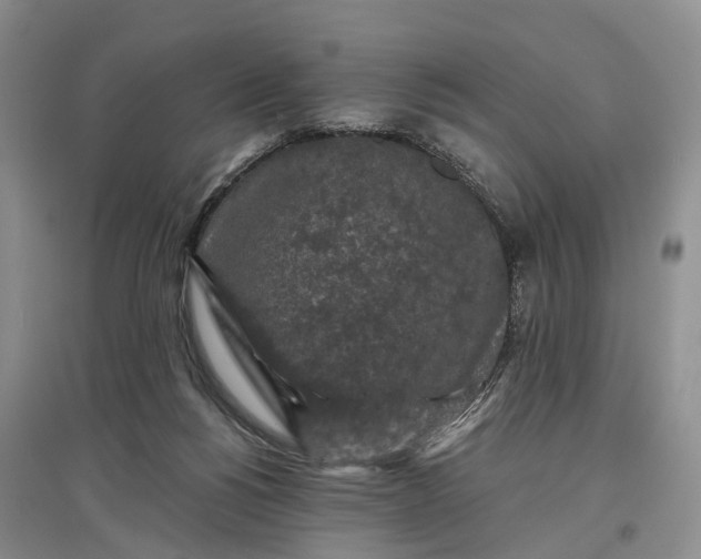 X0000097590168200803141902