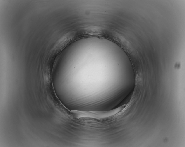 X0000097590170200803141902