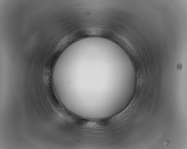 X0000097590171200803141902