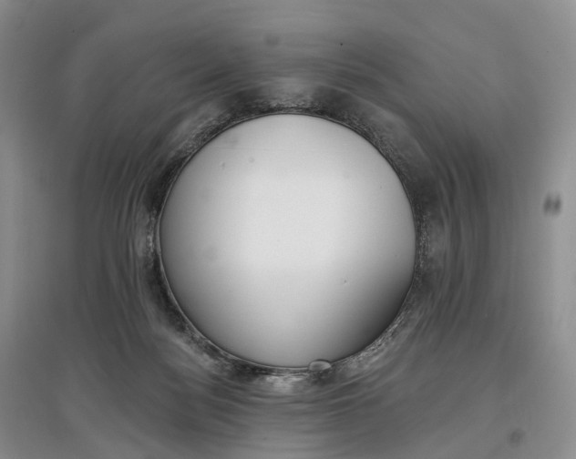 X0000097590172200803141902