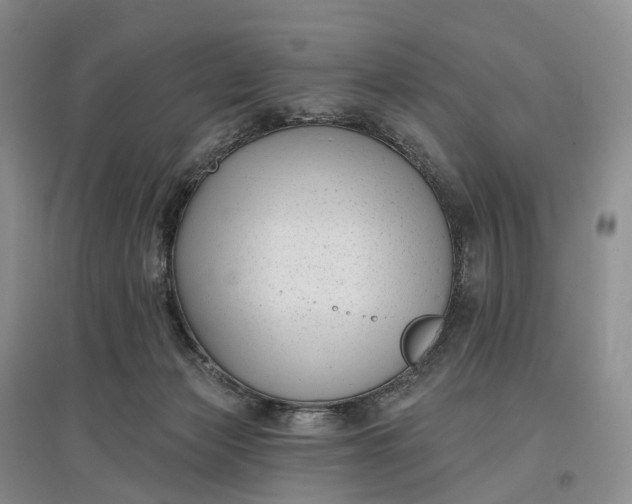 X0000097590173200803141902