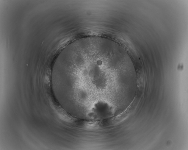 X0000097590175200803141902