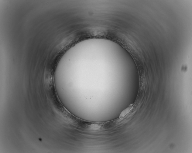 X0000097590176200803141902