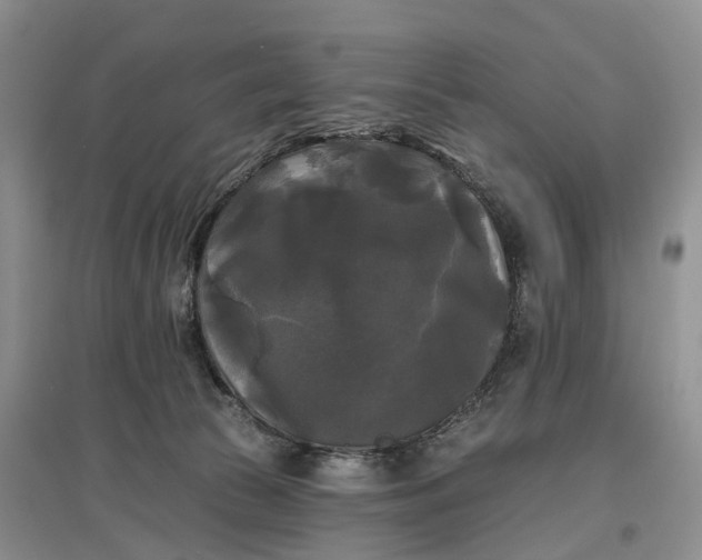 X0000097590177200803141902