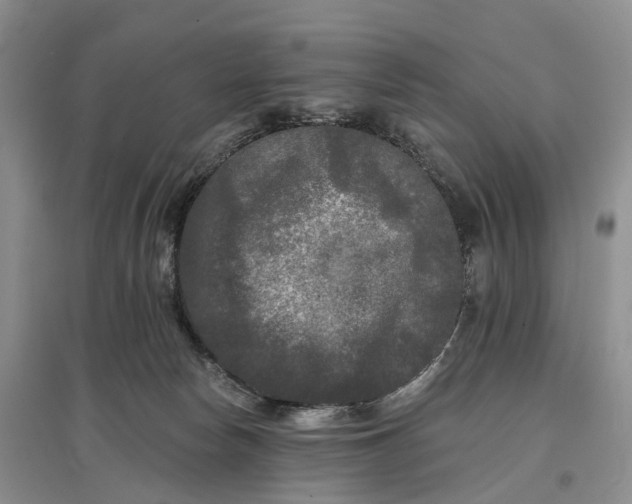 X0000097590178200803141902