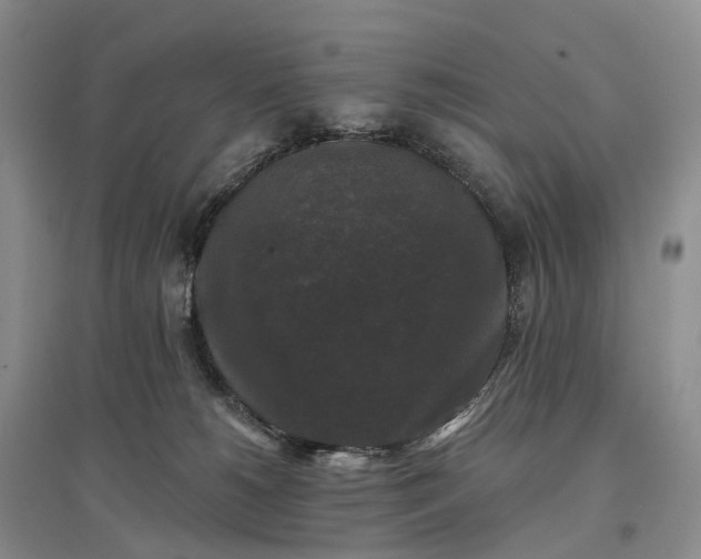 X0000097590180200803141903