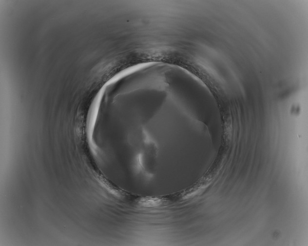 X0000097590181200803141903