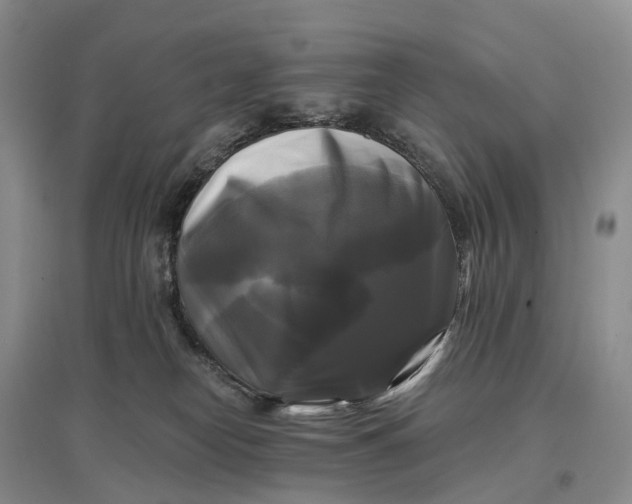 X0000097590182200803141903