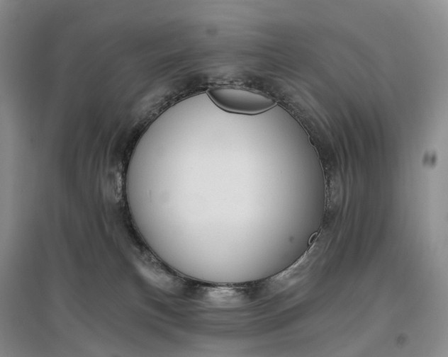 X0000097590183200803141903