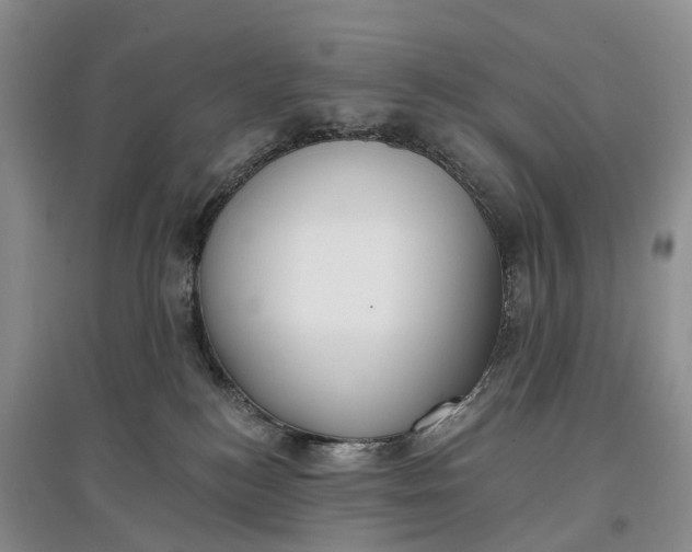 X0000097590184200803141903