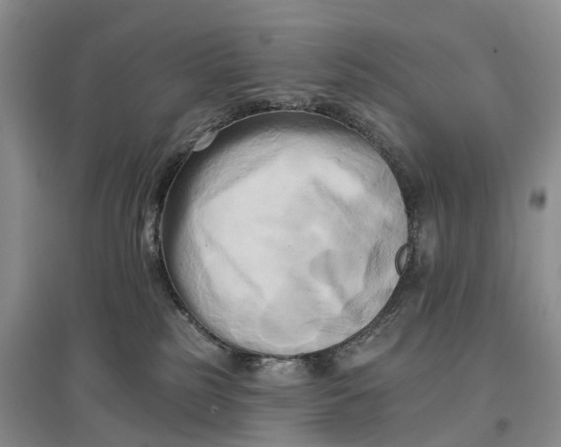 X0000097590185200803141903