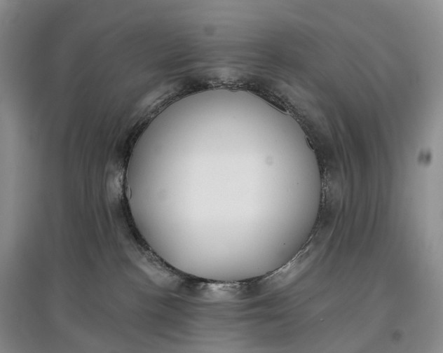 X0000097590188200803141903